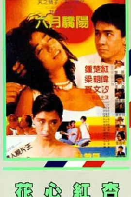 五月久久亚洲七七综合中文网