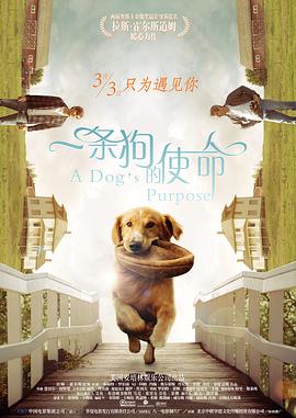 日日噜噜夜夜狠狠久久丁香婷婷