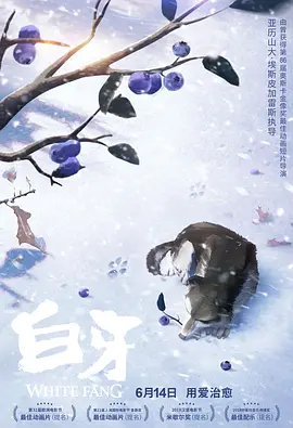 罗马的房子电影免费观看