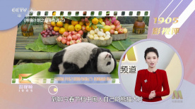 扒胸